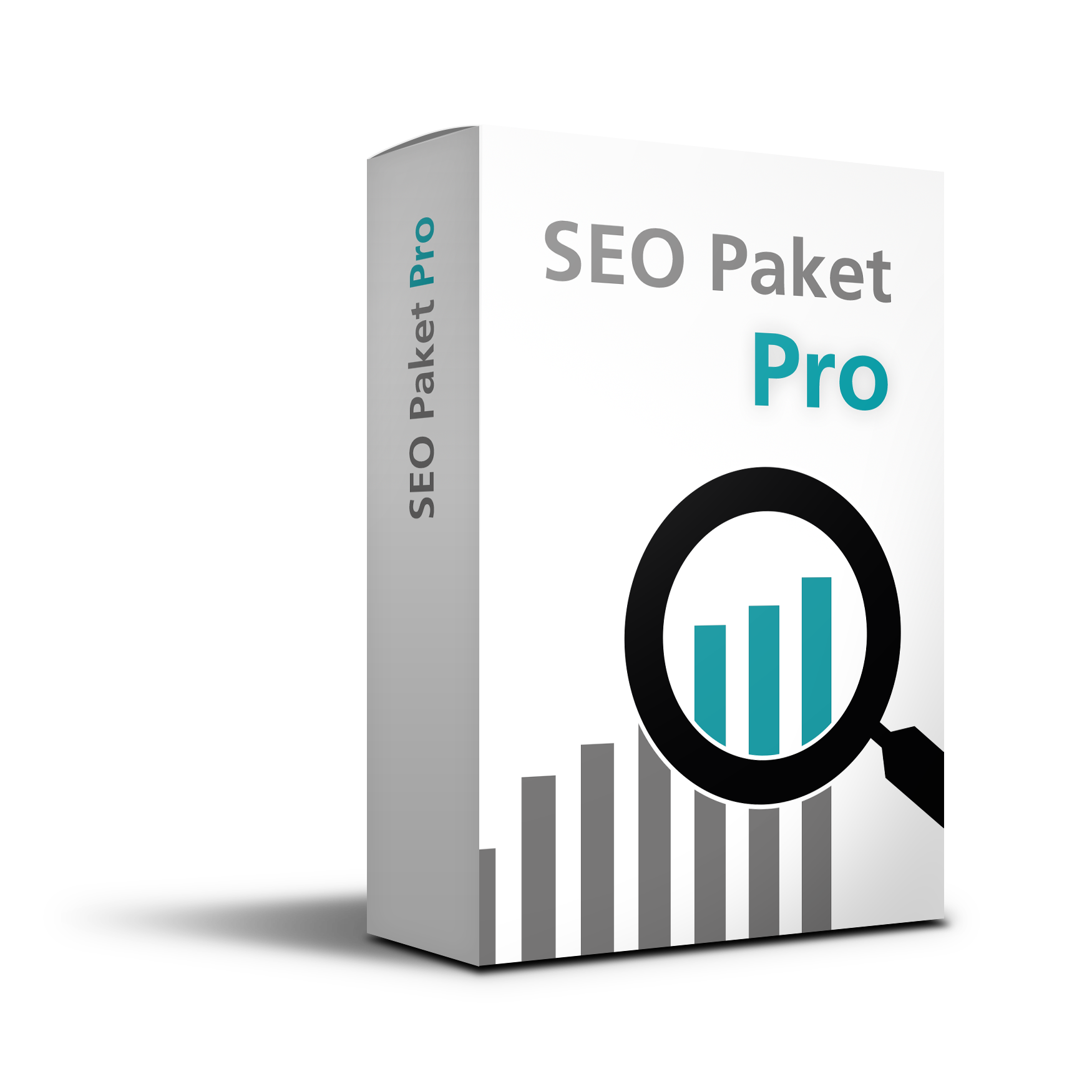 Suchmaschinenoptimierung SEO Paket Pro